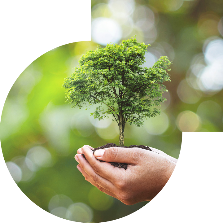 關懷人類、文化、環境與社會